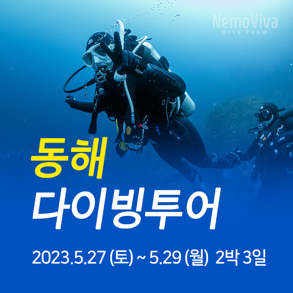 2023년5월27일~29일 동해 다이빙 투어